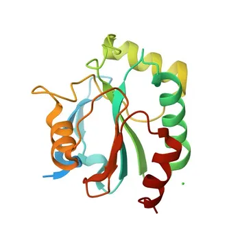 Anti-GPX7 Rabbit Polyclonal Antibody for WB, ELISA - Q96SL4