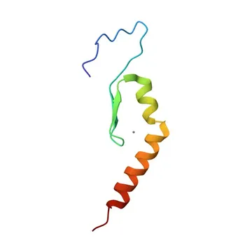 Anticorpo Policlonale di Coniglio Anti-ZNF346 per WB ed ELISA - Q9UL40