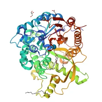 Anticorpo policlonale coniglio Anti-GBA3 per WB, IF/ICC, ELISA - Q9H227