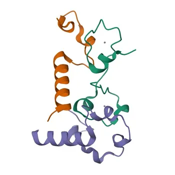 Anticorpo policlonale coniglio anti-FIP1L1 per WB, IHC-P, IF/ICC, ELISA - Q6UN15