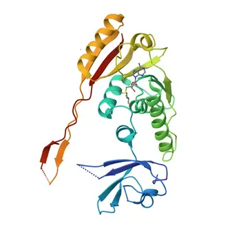 Anti-TRMT61B Rabbit Polyclonal Antibody for WB, ELISA - Q9BVS5