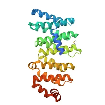 Anti-CLASP1 Polyclonal Antibody for WB, ELISA - Q7Z460