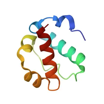 Anti-ETV7 Polyclonal Antibody for WB, ELISA - Q9Y603