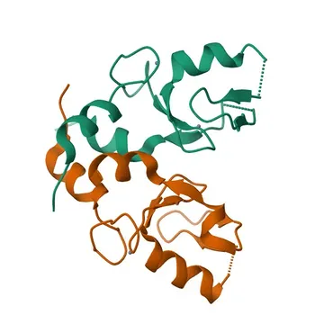 Anti-TRIM32 Rabbit Polyclonal Antibody for WB, ELISA - Q13049