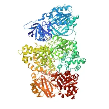 Anti-CPS1 Rabbit Polyclonal Antibody for WB, IF/ICC, ELISA - P31327