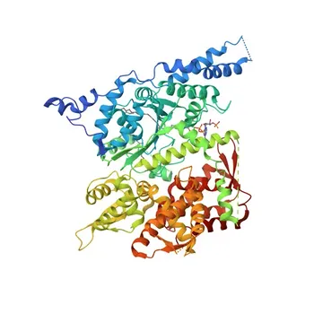 GPAM Rabbit Polyclonal Antibody for WB, ELISA - Q9HCL2
