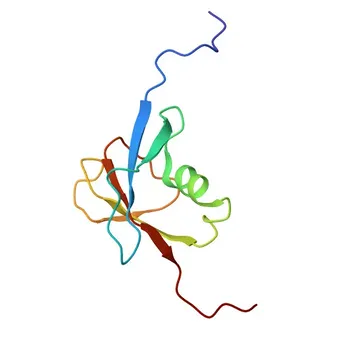 Anti-DRG1 Rabbit Polyclonal Antibody for WB, ELISA - Q9Y295