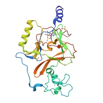 Anti-NSD1 Polyclonal Antibody for WB and ELISA - Q96L73