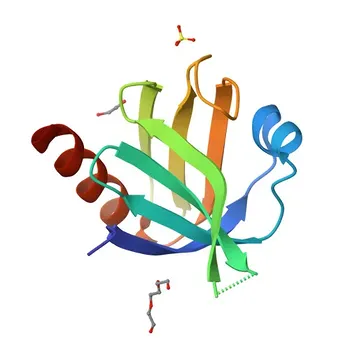 Anti-DOK1 Monoclonal Antibody for WB, IF/ICC, ELISA - Q99704