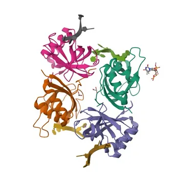 Anti-HLTF Rabbit Polyclonal Antibody for WB, ELISA - Q14527