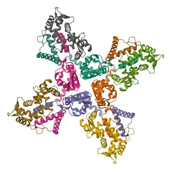 Anti-KCNIP2 Polyclonal Antibody for WB and ELISA - Q9NS61