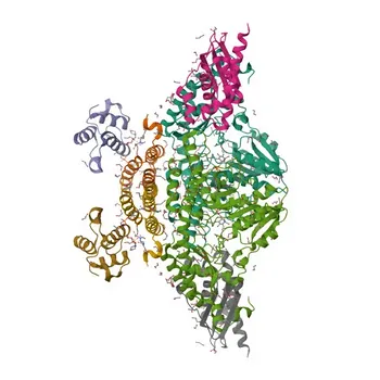 Anti-ISCU Rabbit Polyclonal Antibody for WB, ELISA - Q9H1K1