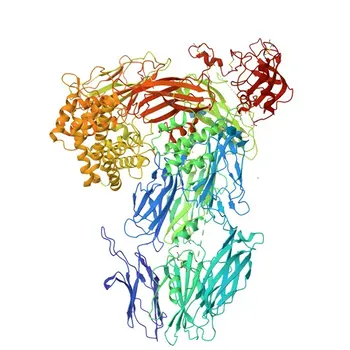 Anticorpo policlonale anti-C5/C5a per WB, ELISA - P01031
