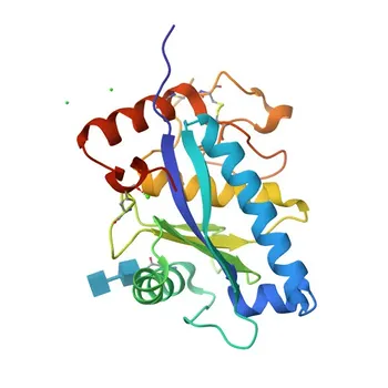 Anti-ADAM33 Polyclonal Antibody for WB, ELISA - Q9BZ11