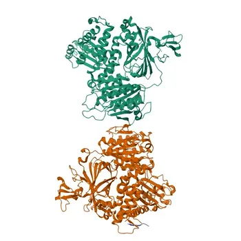 Anti-GOSR2 Rabbit Polyclonal Antibody for WB, ELISA - O14653