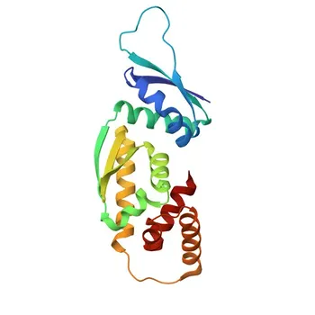 Anti-N4BP1 Rabbit Polyclonal Antibody for WB, IF/ICC, ELISA - O75113