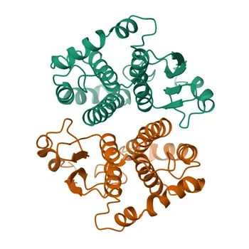 Anti-GSTM4 Polyclonal Antibody for WB, ELISA - Q03013
