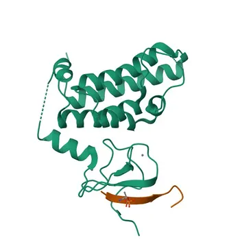 Anti-SP100 Polyclonal Antibody for WB and ELISA - P23497