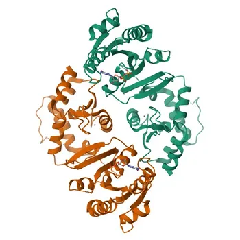 Anti-ARFGAP1 Rabbit Polyclonal Antibody for WB, ELISA - Q8N6T3