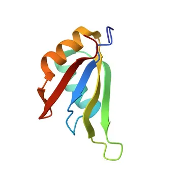 Anti-RBM3 Kaninchen-Polyklonaler Antikörper für WB, IHC-P, ELISA - P98179