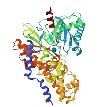 Anti-HK3 Polyclonal Antibody for WB, IF/ICC, ELISA - P52790