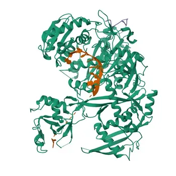 Anti-TNRC6A Polyclonal Antibody for WB, IF/ICC, ELISA - Q8NDV7