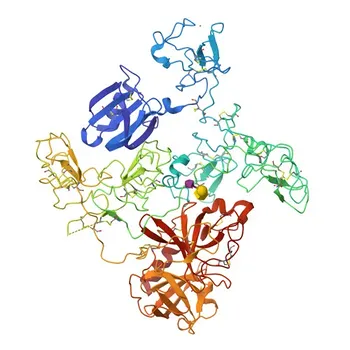 Anti-PLG Rabbit Polyclonal Antibody for WB and ELISA - P00747