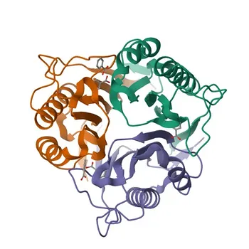 HRSP12 Rabbit Polyclonal Antibody for WB, ELISA - P52758
