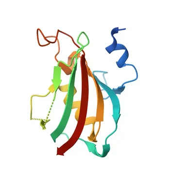 Anti-FKBP6 Polyclonal Antibody for WB, IF/ICC, ELISA - O75344