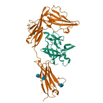 Anticorpo Policlonado de Coelho Anti-IL1R1 para WB e ELISA - P14778