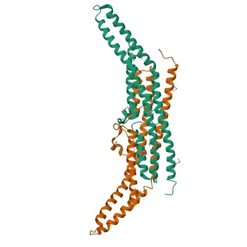Anti-SH3GL3 Polyclonal Antibody for WB, ELISA - Q99963