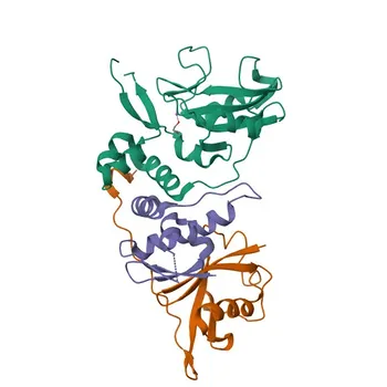 Anti-SOCS4 Polyclonal Antibody for WB and ELISA - Q8WXH5