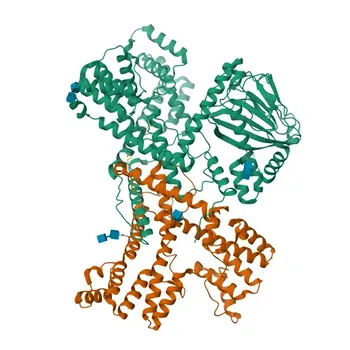 CRTAP Rabbit Polyclonal Antibody for WB, IHC-P, ELISA - O75718