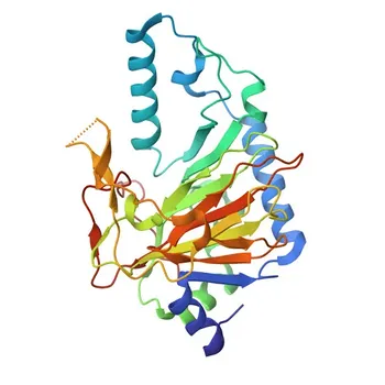 PHYHD1 Rabbit pAb for WB, IF/ICC, ELISA - Q5SRE7