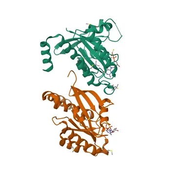 Anti-GEM Rabbit Polyclonal Antibody for WB, ELISA - P55040