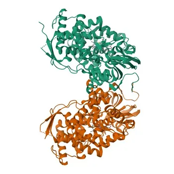 Anti-CYP7A1 Rabbit Polyclonal Antibody for IF-P and ELISA - P22680