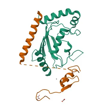 Anti-AMFR Rabbit Polyclonal Antibody for WB and ELISA - Q9UKV5