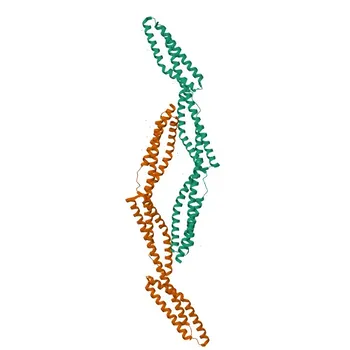 Anti-SPTBN1 Rabbit Polyclonal Antibody for WB and ELISA - Q01082