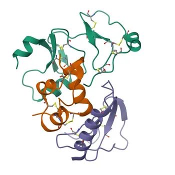 IGFBP1 Rabbit pAb for WB, ELISA - P08833