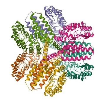 NLRX1 Rabbit pAb - Q86UT6