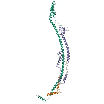 Anti-ATP5J Polyclonal Antibody for WB, IHC-P, IF/ICC, ELISA - P18859