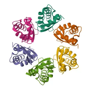 Anti-KCTD15 Polyclonal Antibody for WB and ELISA - Q96SI1