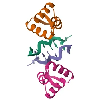 Anti-ZBP1 Polyclonal Antibody for WB, IF/ICC, IF-P, IHC-P, ELISA - Q9QY24