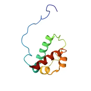 Anti-ESE1/ELF3 Polyclonal Antibody for WB, IHC-P, ELISA - P78545