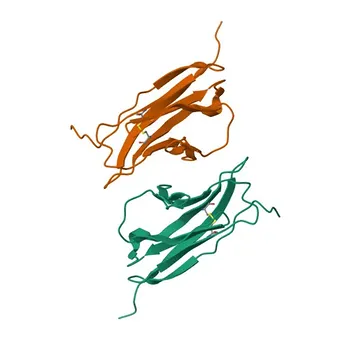 Anti-CADM3 Rabbit Polyclonal Antibody for WB and ELISA - Q8N126
