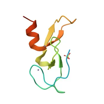 Anti-RUFY1 Rabbit Polyclonal Antibody for WB and ELISA - Q96T51