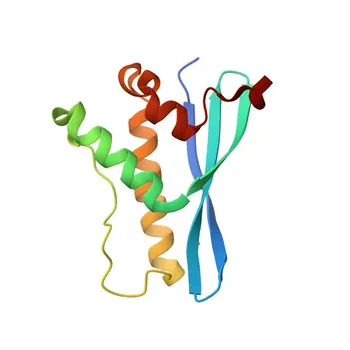 Anticorpo policlonale anti-SGK3 per WB, ELISA - Q96BR1