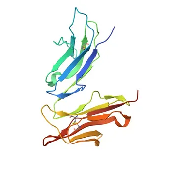 Anti-FCGR3B Rabbit Polyclonal Antibody for WB and ELISA - O75015