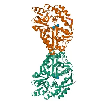 Anti-AVPR1A Rabbit Polyclonal Antibody for WB, IF/ICC, ELISA - P37288
