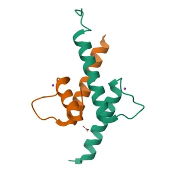 Anti-ID2 Rabbit Polyclonal Antibody for WB, ELISA - Q02363